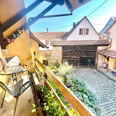 Appartement Alsace *